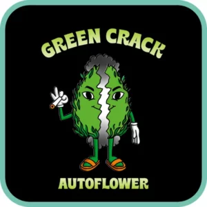 Simba Seeds Green Crack – Autoflower
