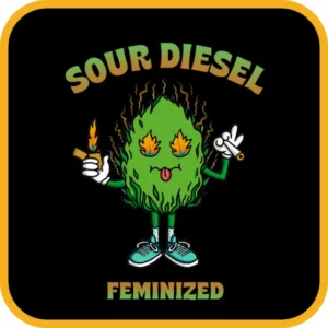 Simba Seeds Sour Diesel – Feminized