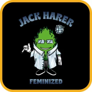 Simba Seeds Jack Herer – Feminized