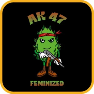 Simba Seeds AK47 – Feminized
