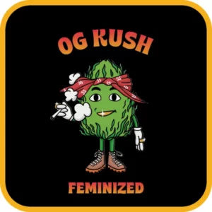 Simba Seeds OG Kush – Feminized