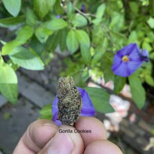 Gorilla Cookies