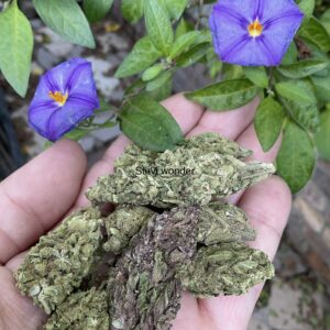 Stevie Wonder (Best Heads) (8g)