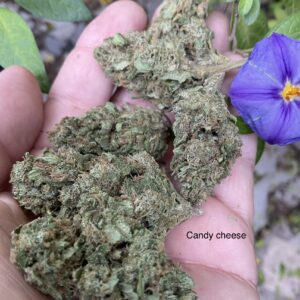 Candy Cheese (2g)
