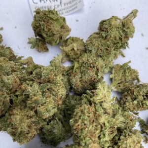 1 x Candy Cheese - Pre Roll