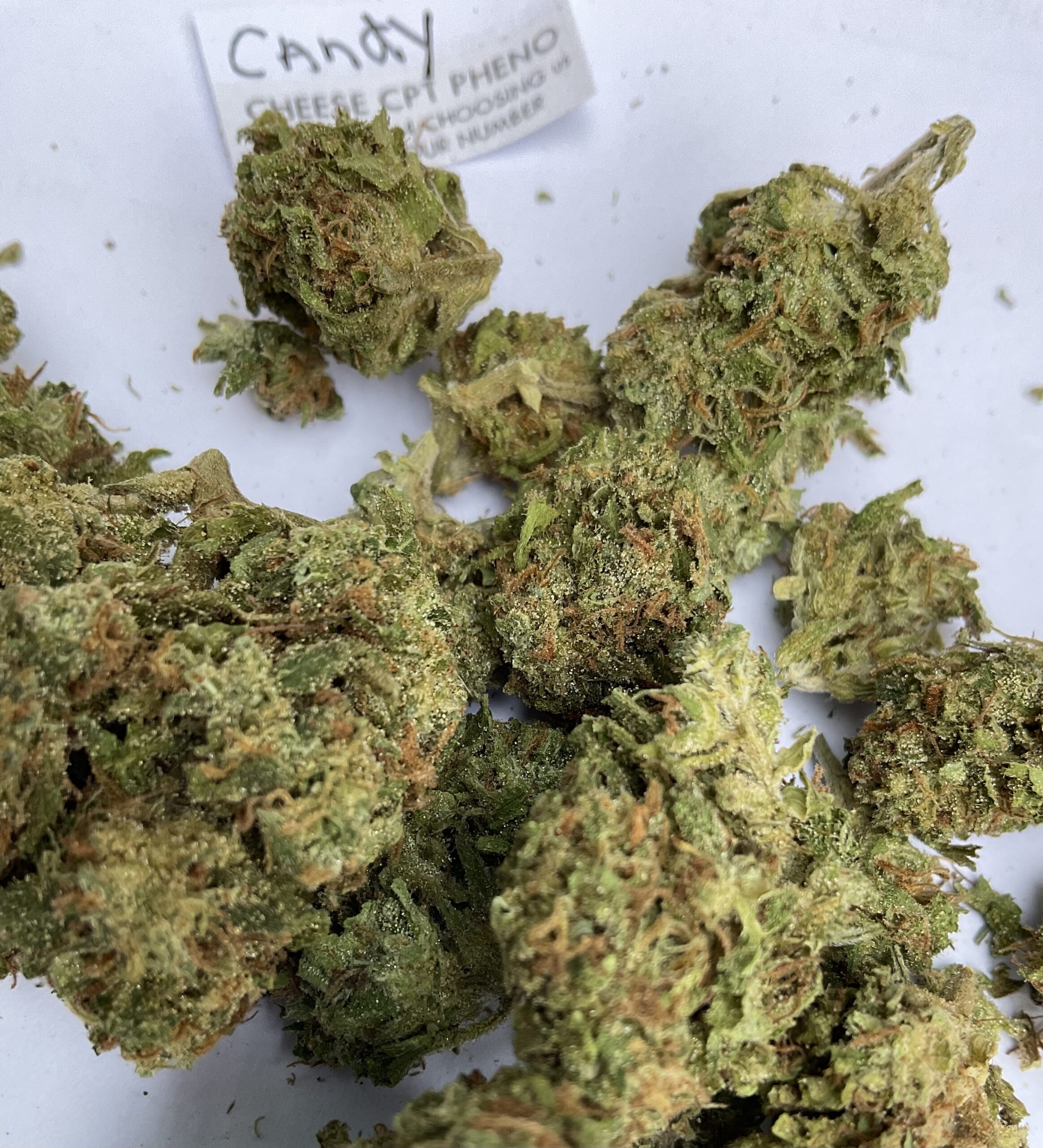 1 x Candy Cheese - Pre Roll