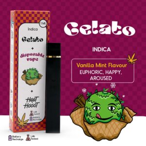 Disposable Vape (2ml)